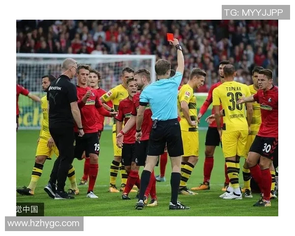 2017年拜仁vs巴伦西亚