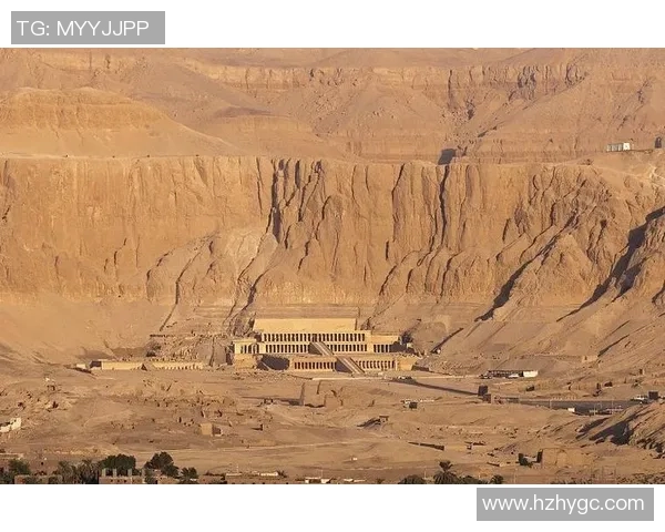 比利时与埃及精彩对决集锦回顾球员表现与战术分析全景呈现